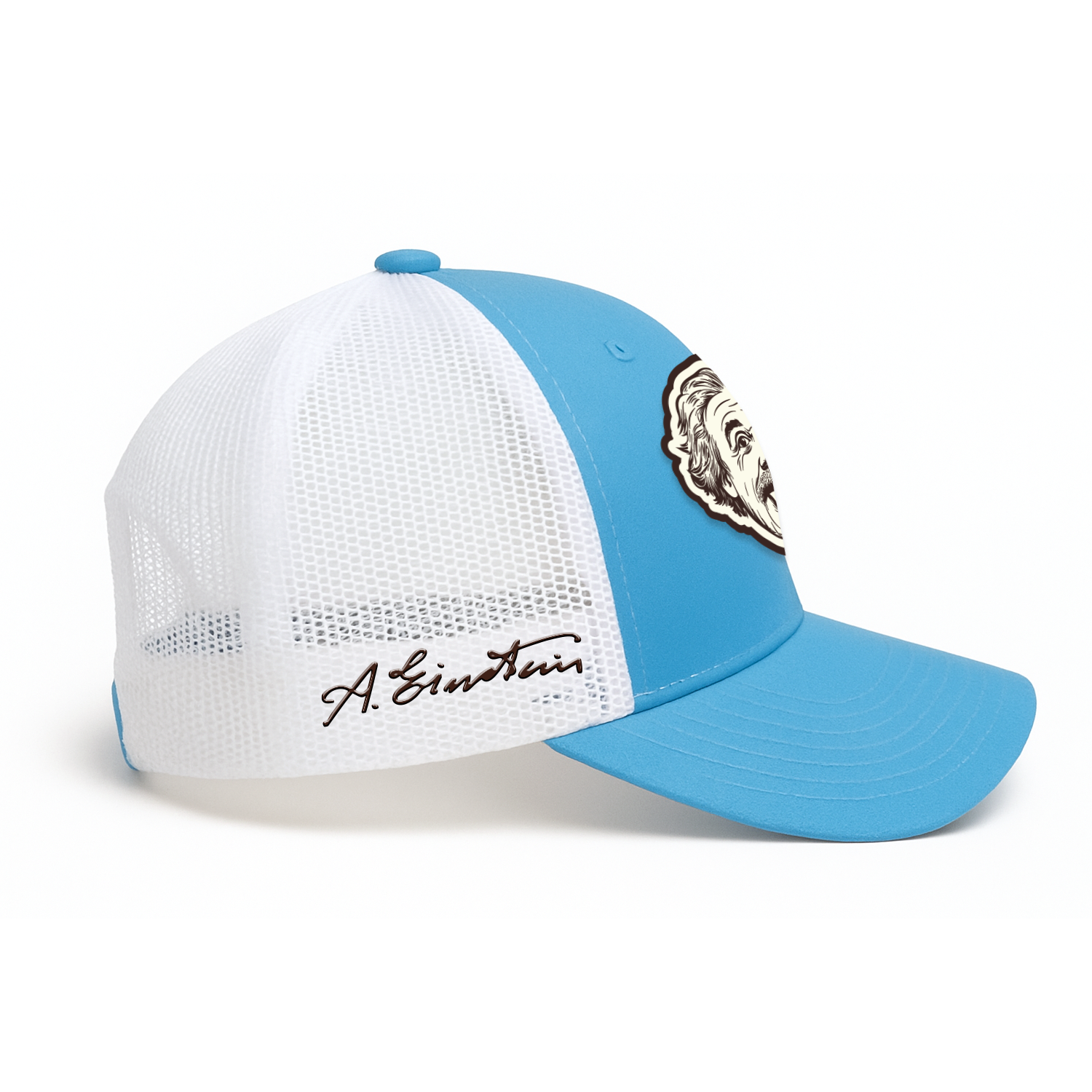 Einstein Hat